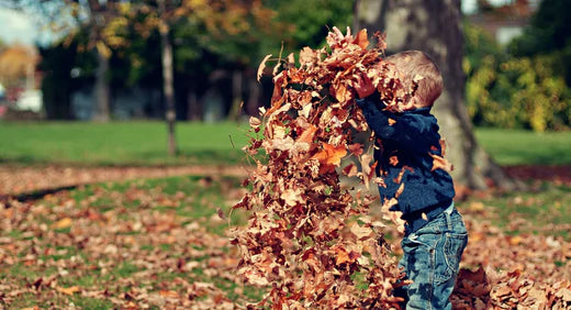 キッズ向けナチュラルアウトドアプレイスペース