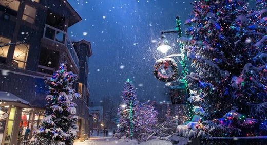 冒険好きな人に贈るクリスマスギフト