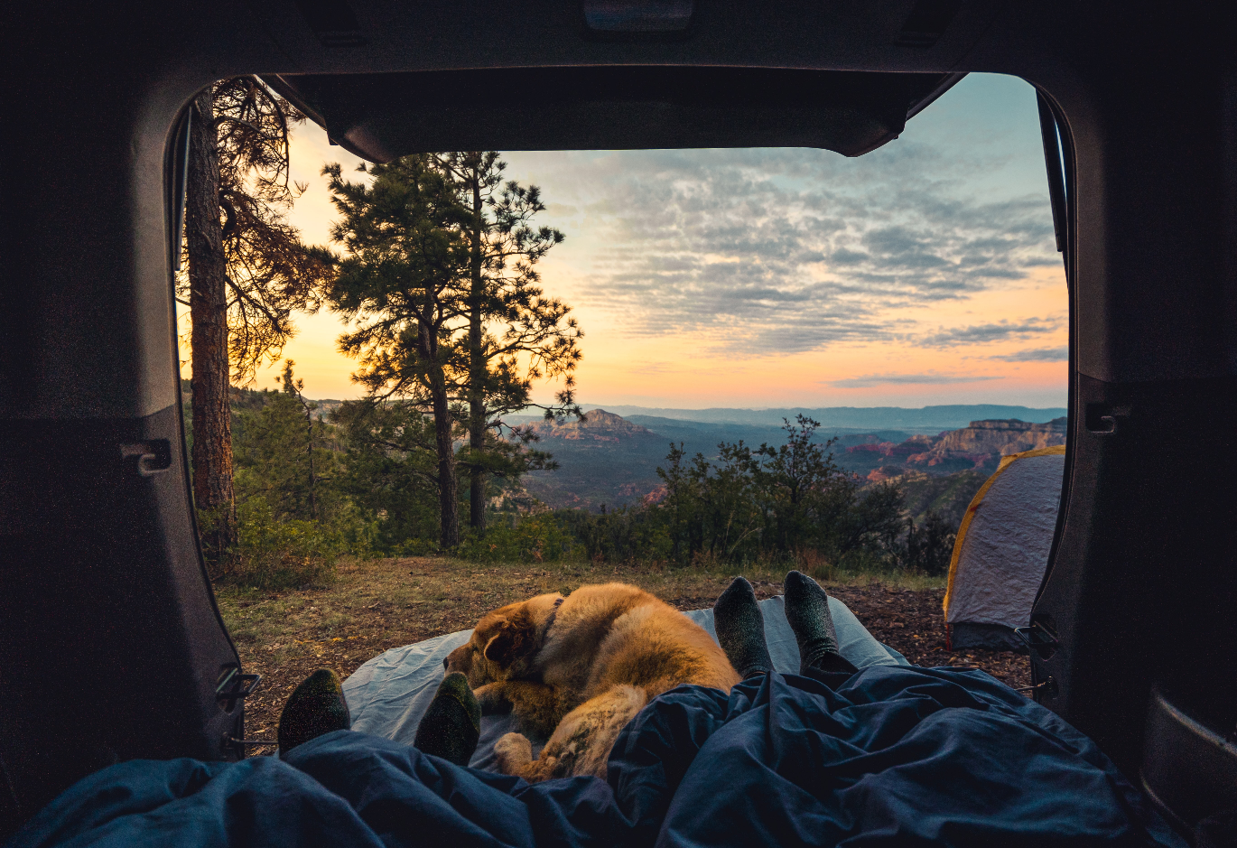 カレントオントレンド|SUVキャンプの必需品6選