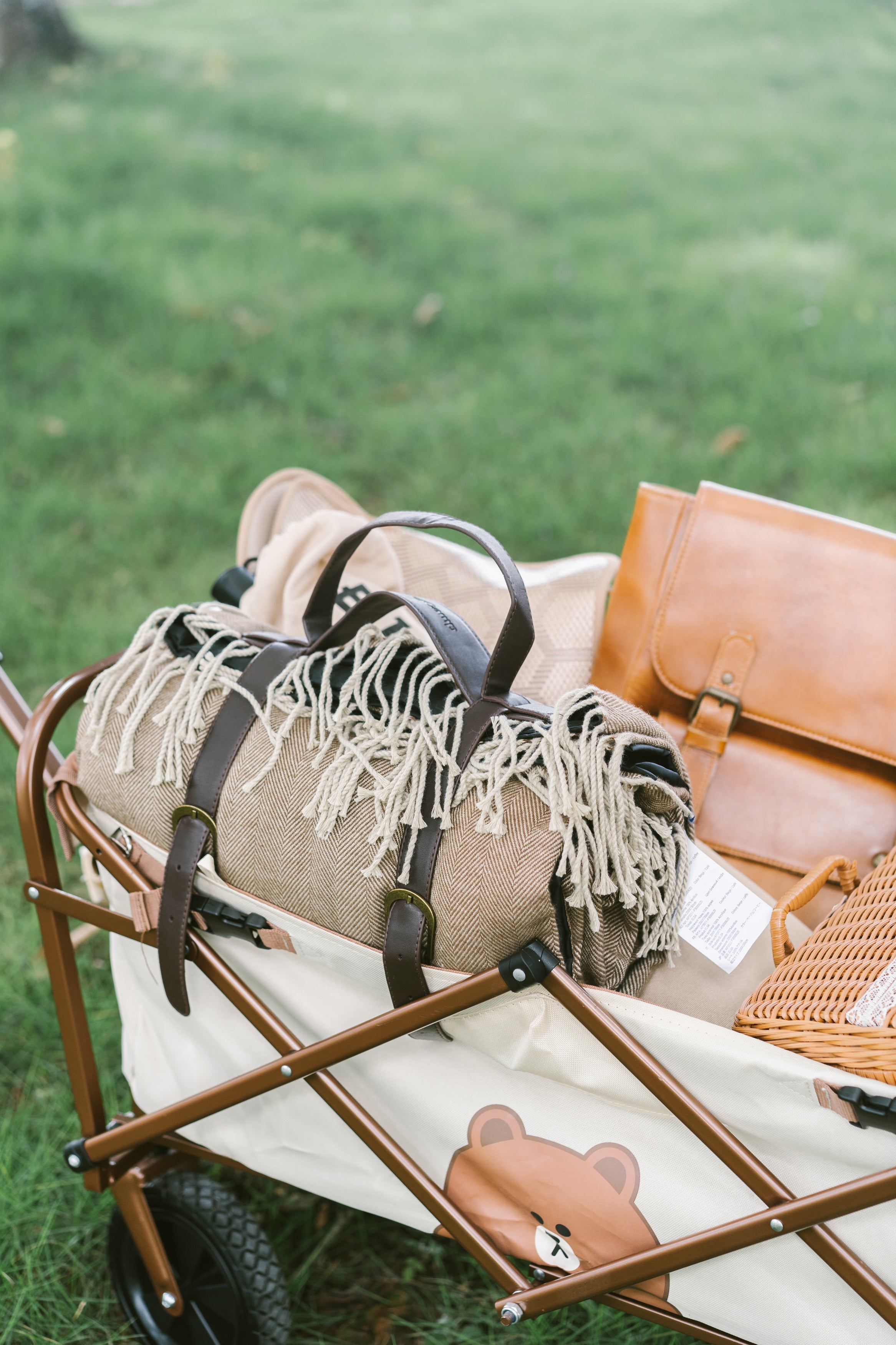 LILYは息子と一緒に野外活動を楽しんでいます