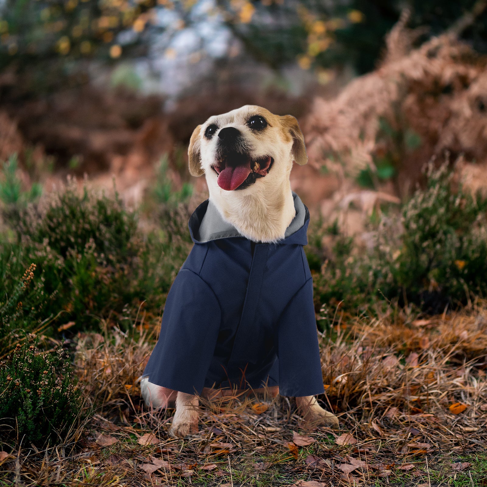 KingCamp 犬用レインコート 通気 帽子付