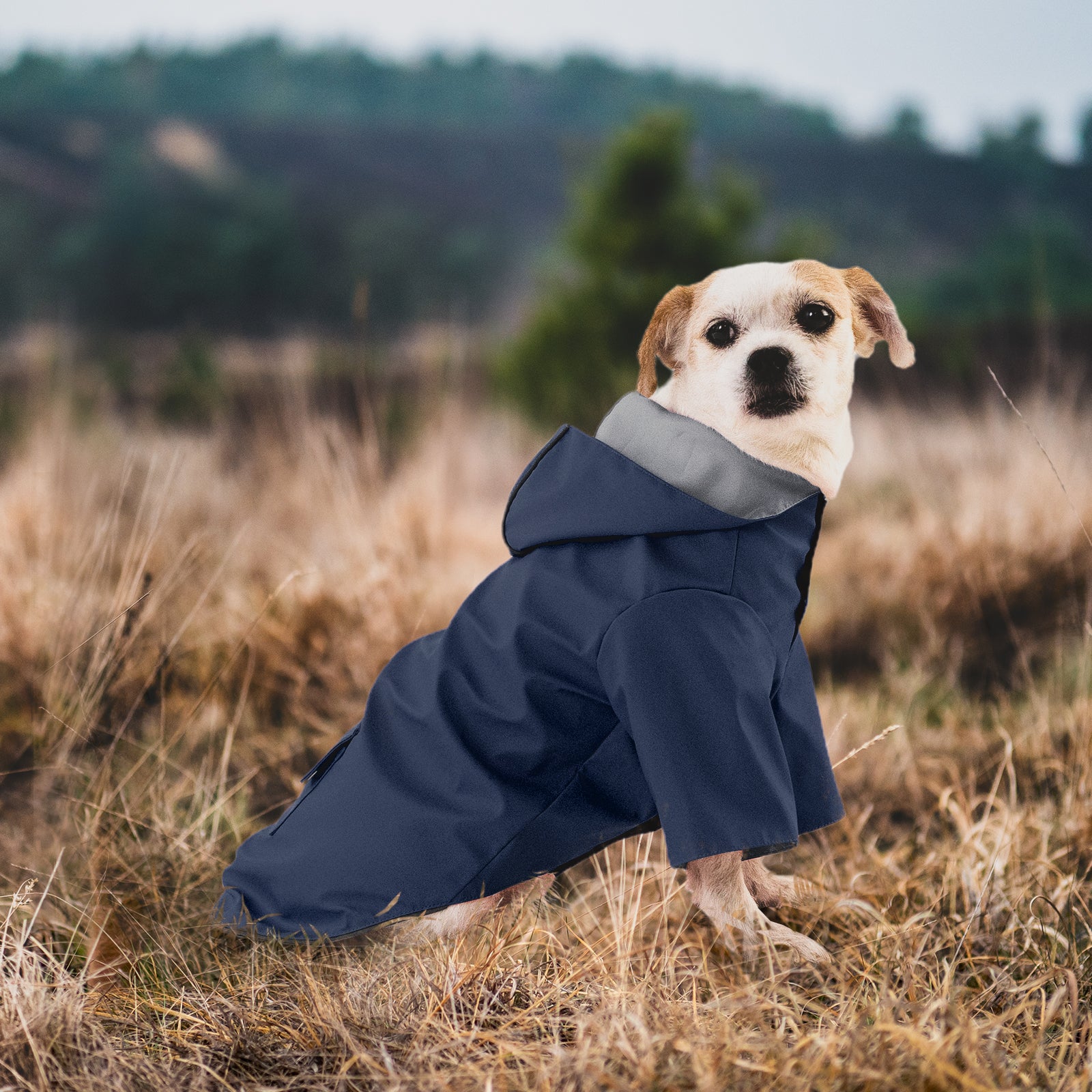 KingCamp 犬用レインコート 通気 帽子付