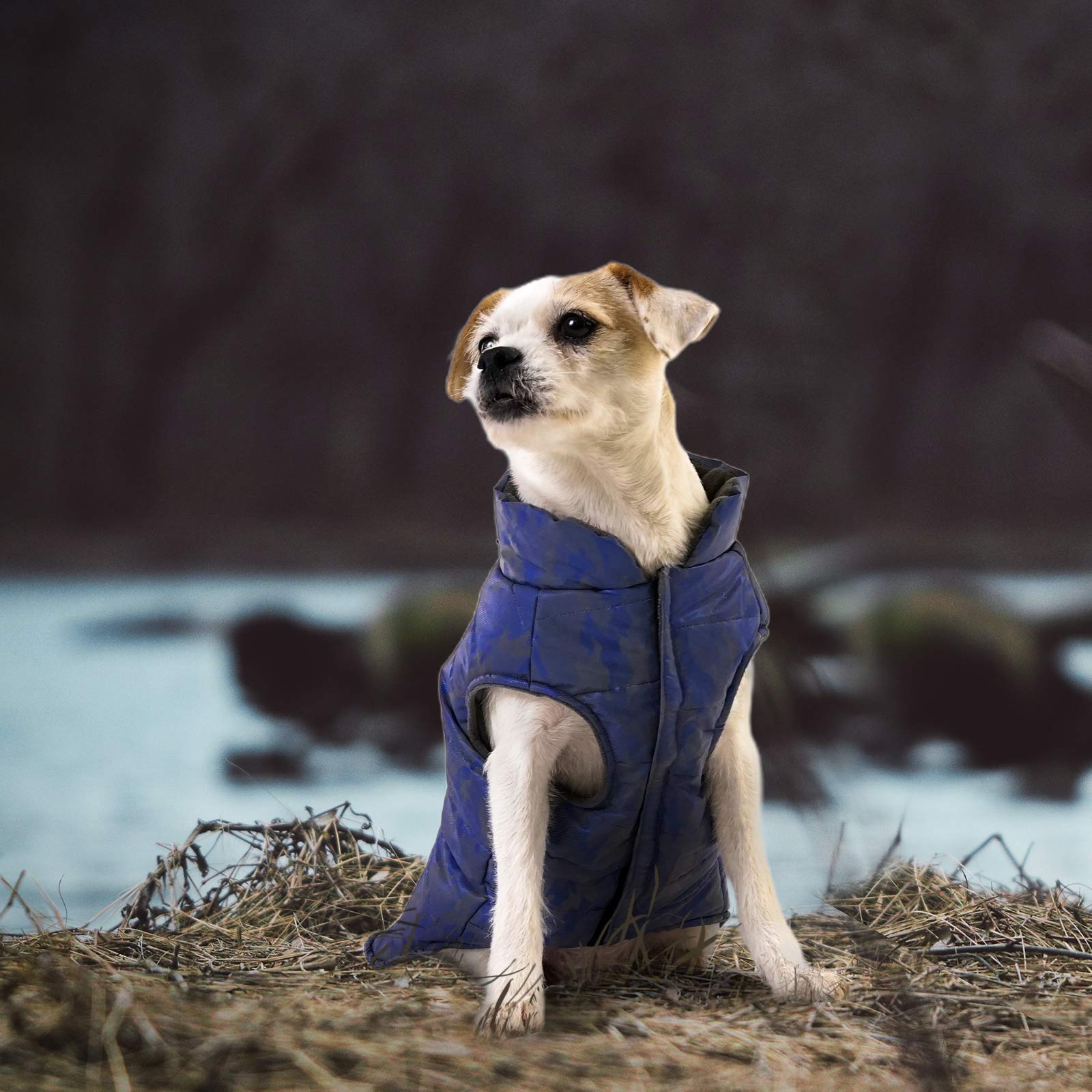 KingCamp 犬服 コートジャケット綿服