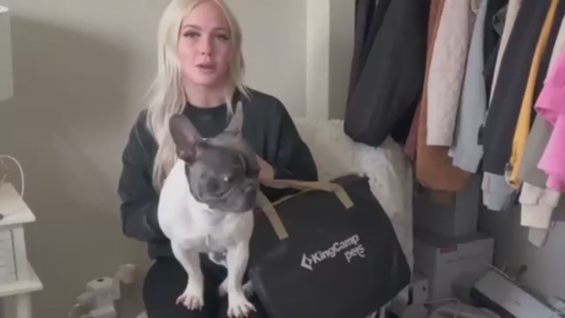 KingCamp ペットサークルドッグハウス 小型犬八角形折りたたみメッシュ