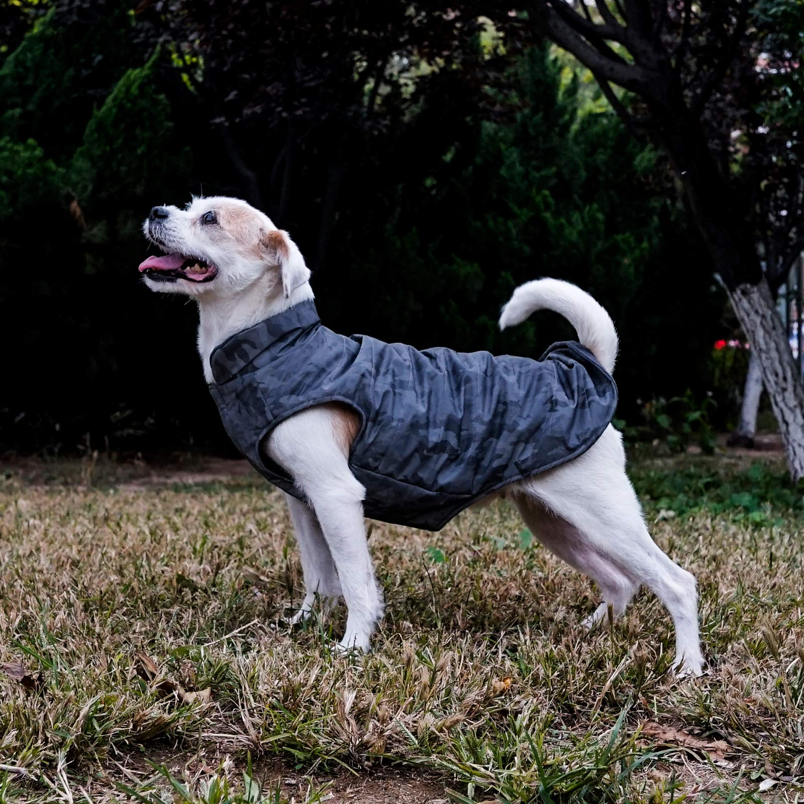 KingCamp 犬服 コートジャケット綿服