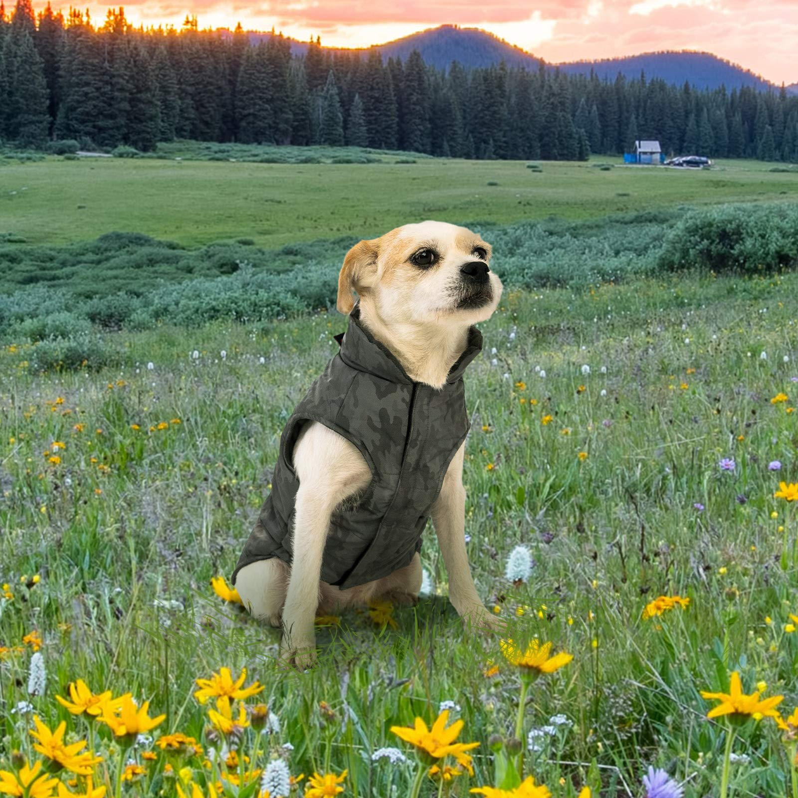 KingCamp 犬服 コートジャケット綿服